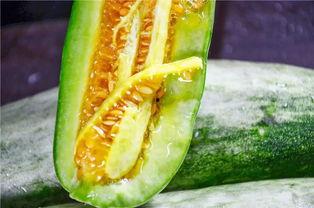 网红泡泡吃瓜,揭秘娱乐圈吃瓜背后的真相 第1张 网红泡泡吃瓜,揭秘娱乐圈吃瓜背后的真相 第1张